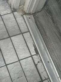 Mold in restroom floor