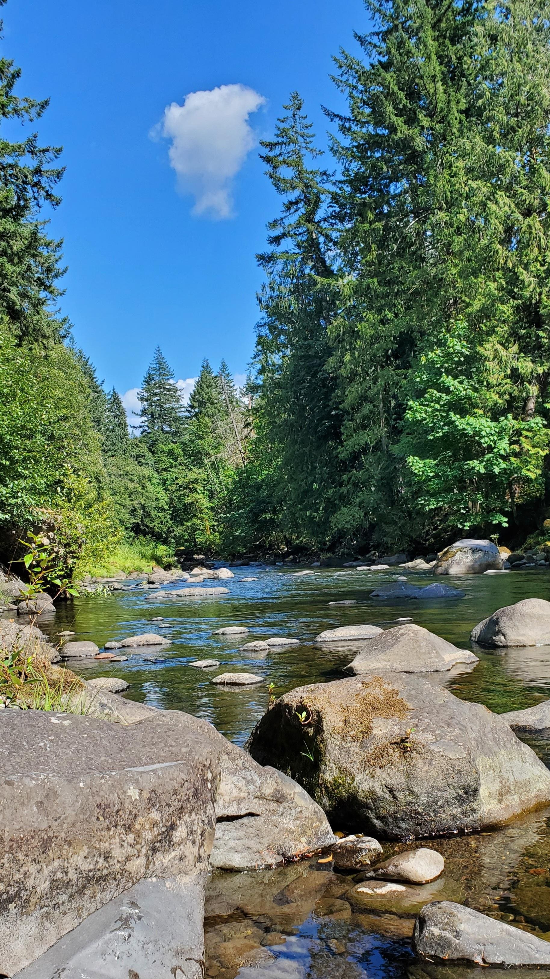 Amazing location, with access to the river.