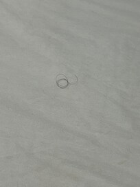 Hair under the sheets