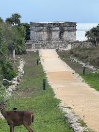 Pyramid on property