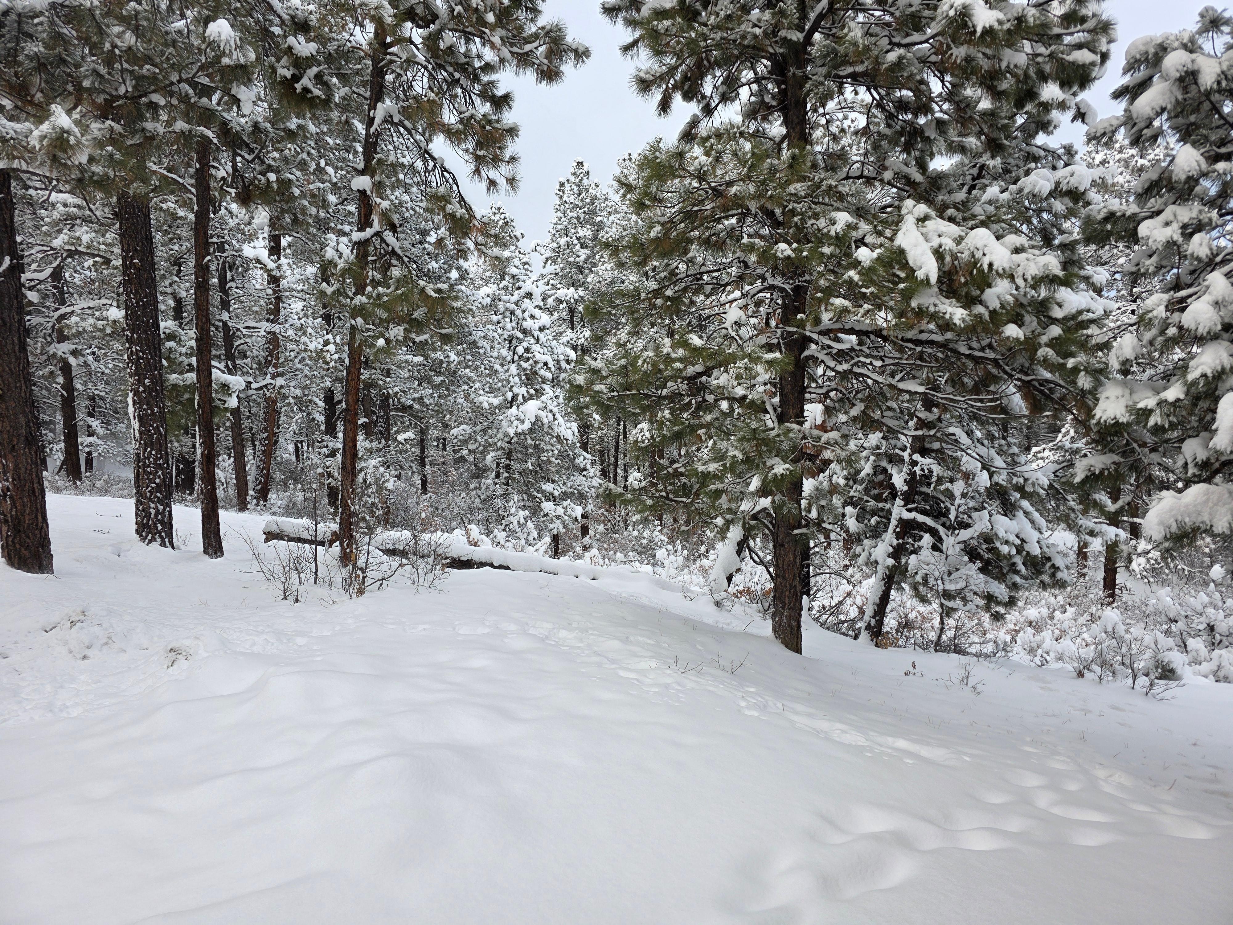 View from front patio