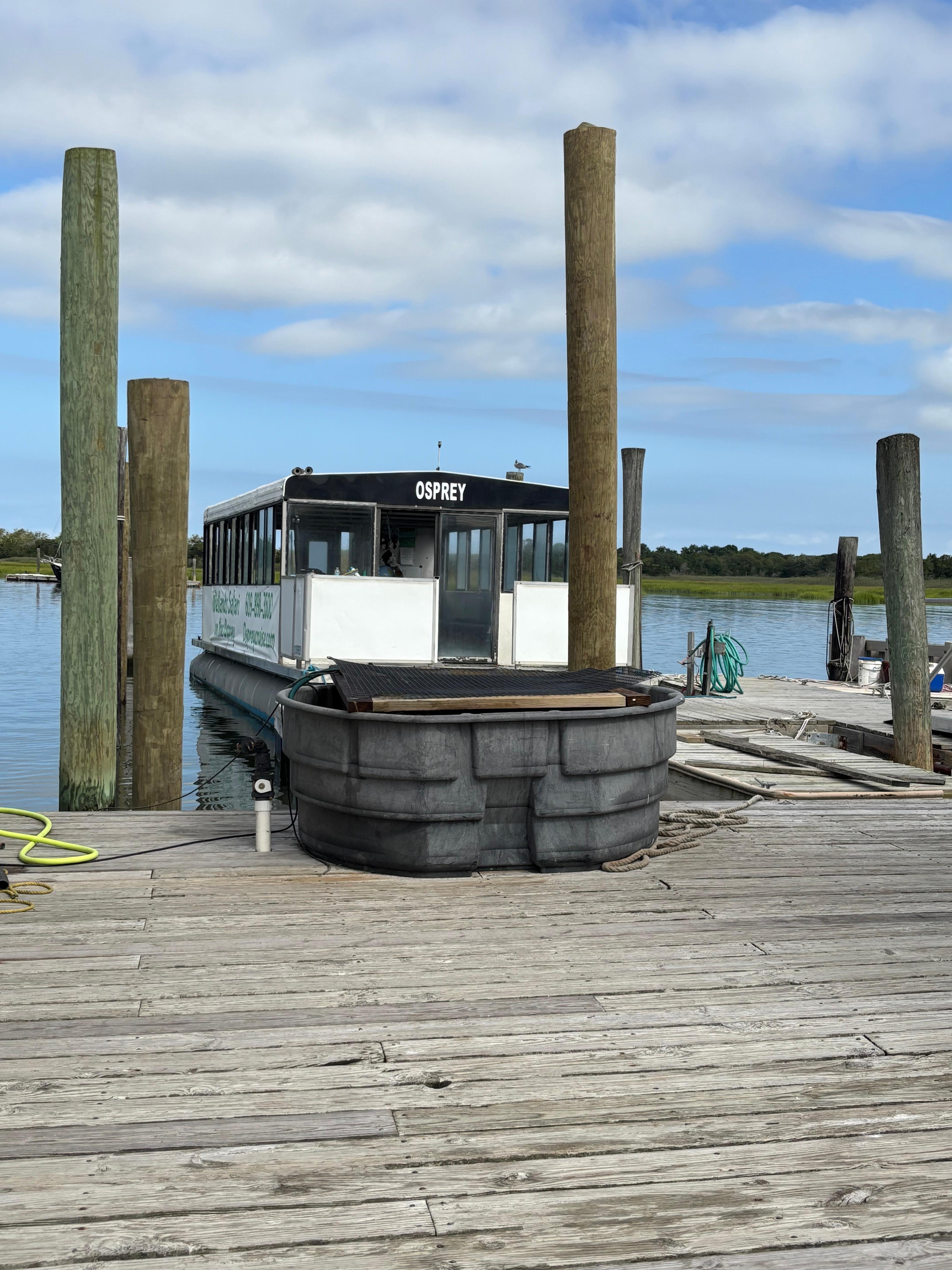 Osprey boat adventure!