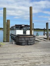 Osprey boat adventure!