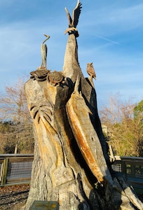 Sunset at the beach across from the house