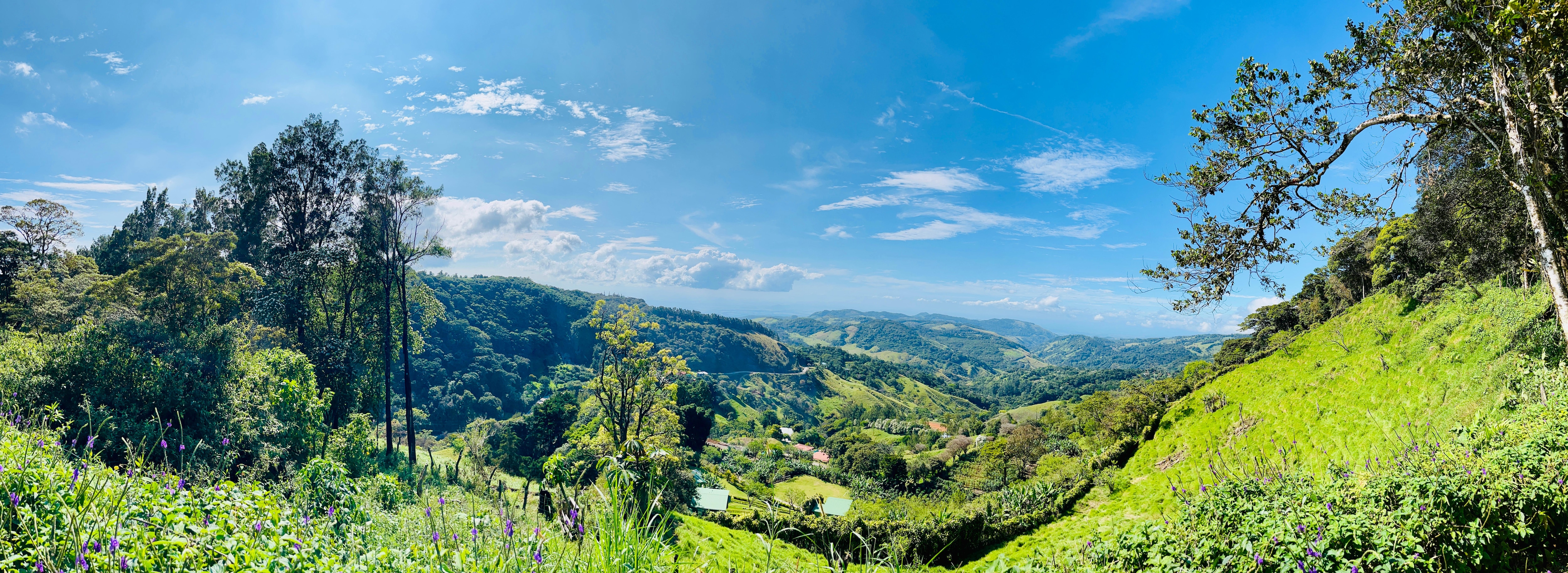 Le point de vue au sommet de l’hôtel 