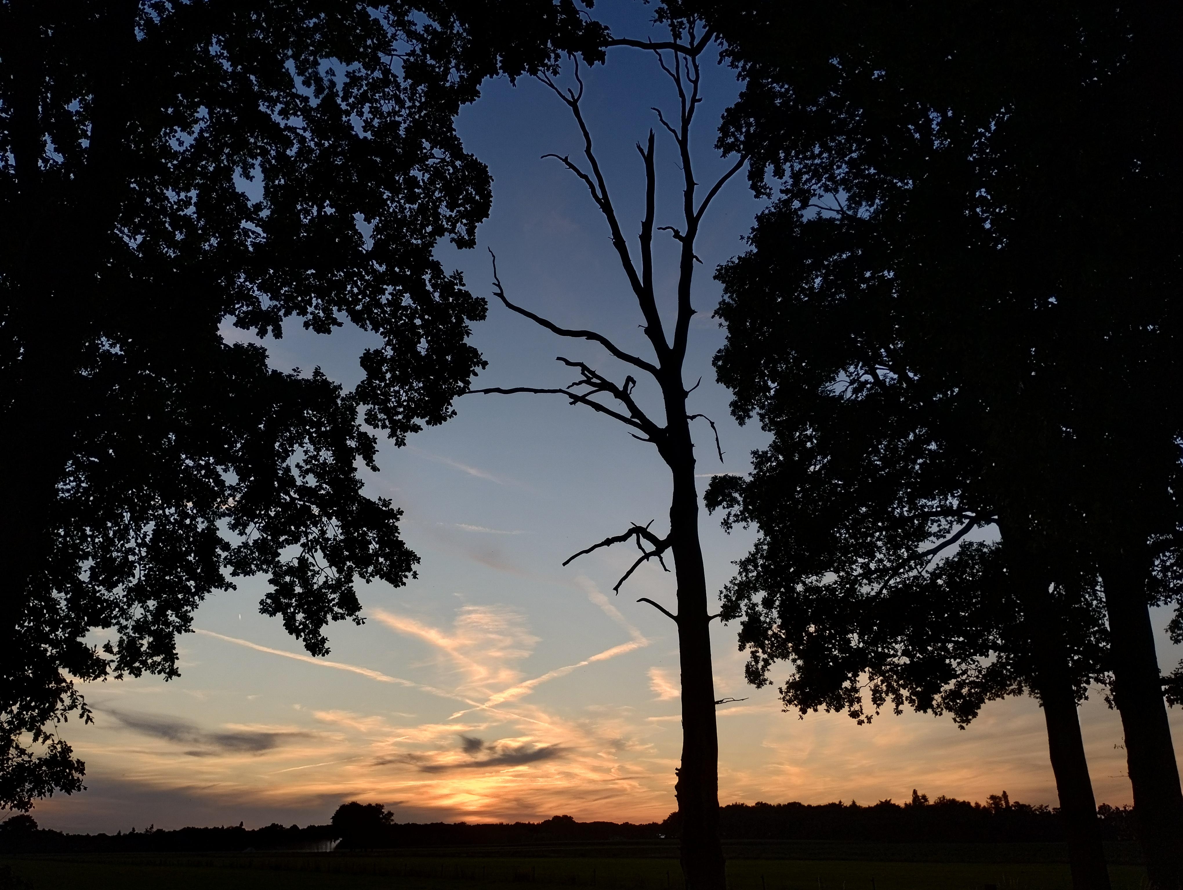 Nice sunsets over the fields.