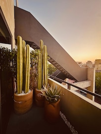 the cacti complete the design of the terrace and the sculptural stair