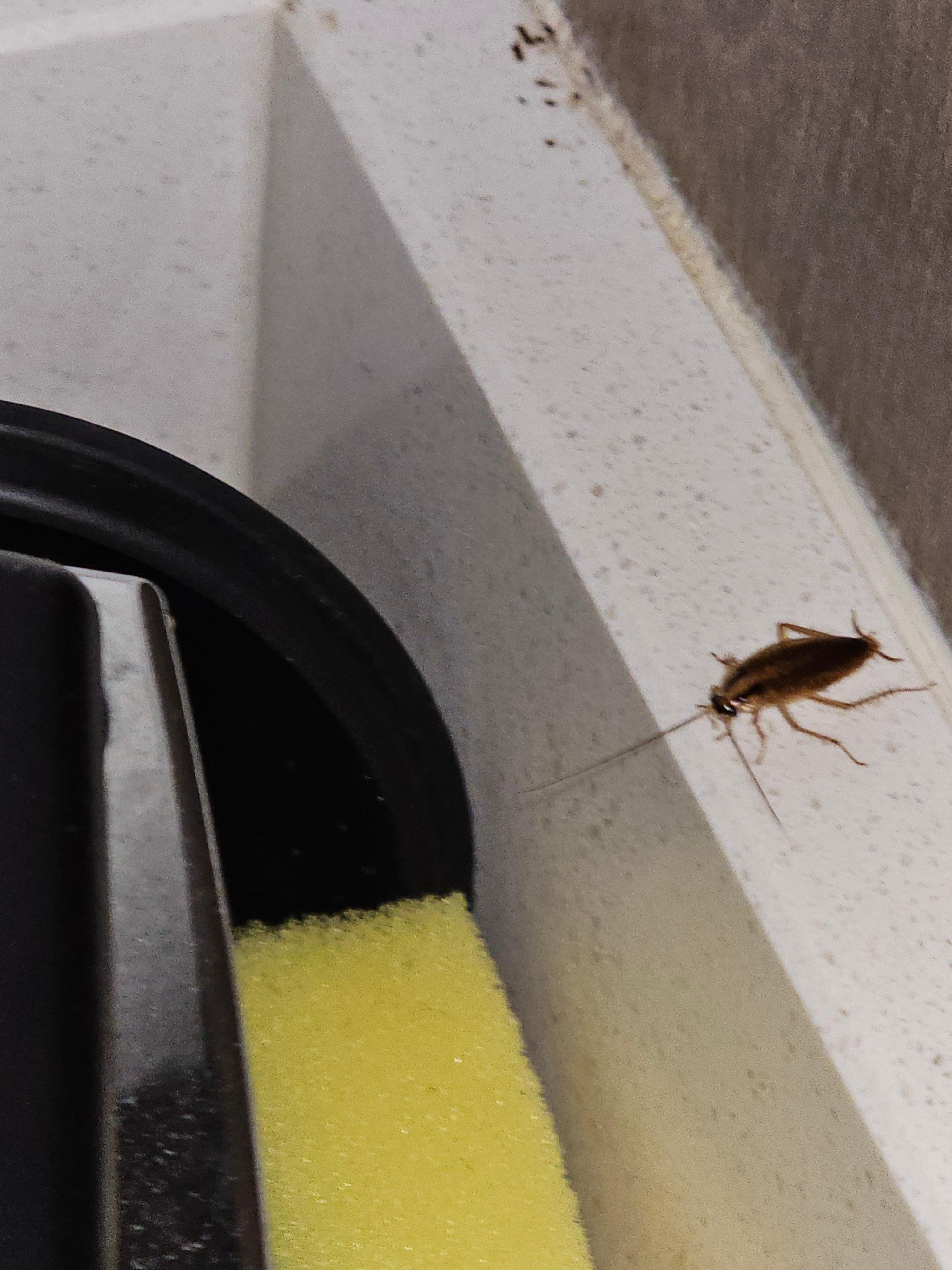 This was in the kitchen area