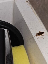 This was in the kitchen area