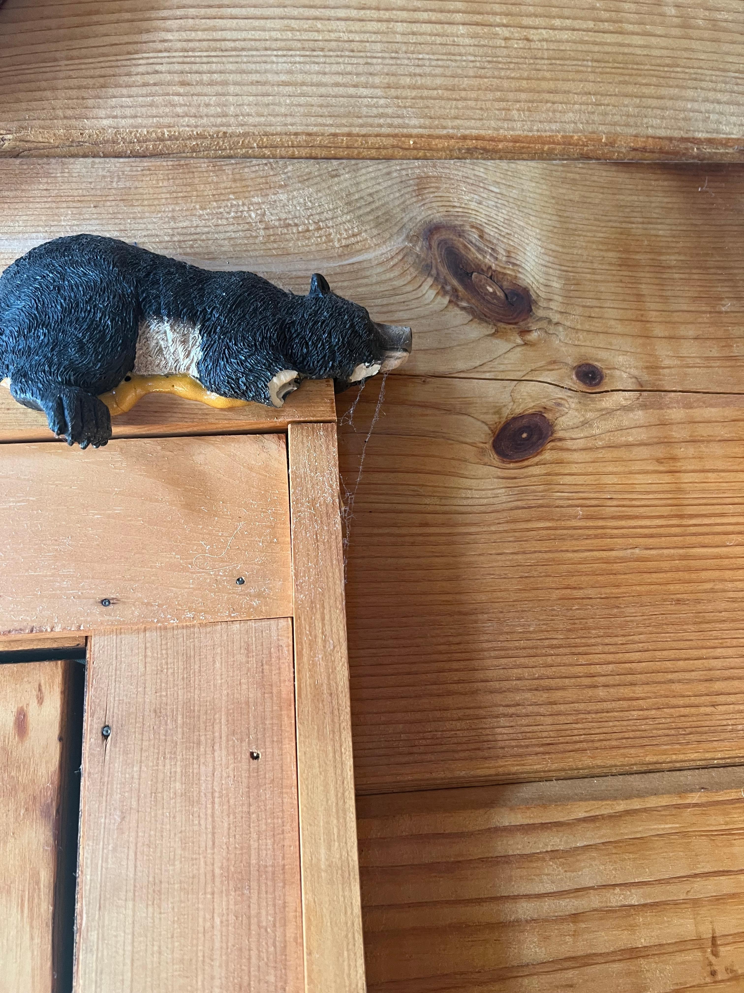 Dust hanging around all over the place 