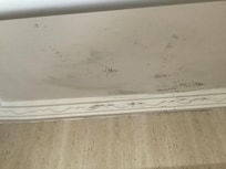 Black mould on bathroom ceiling