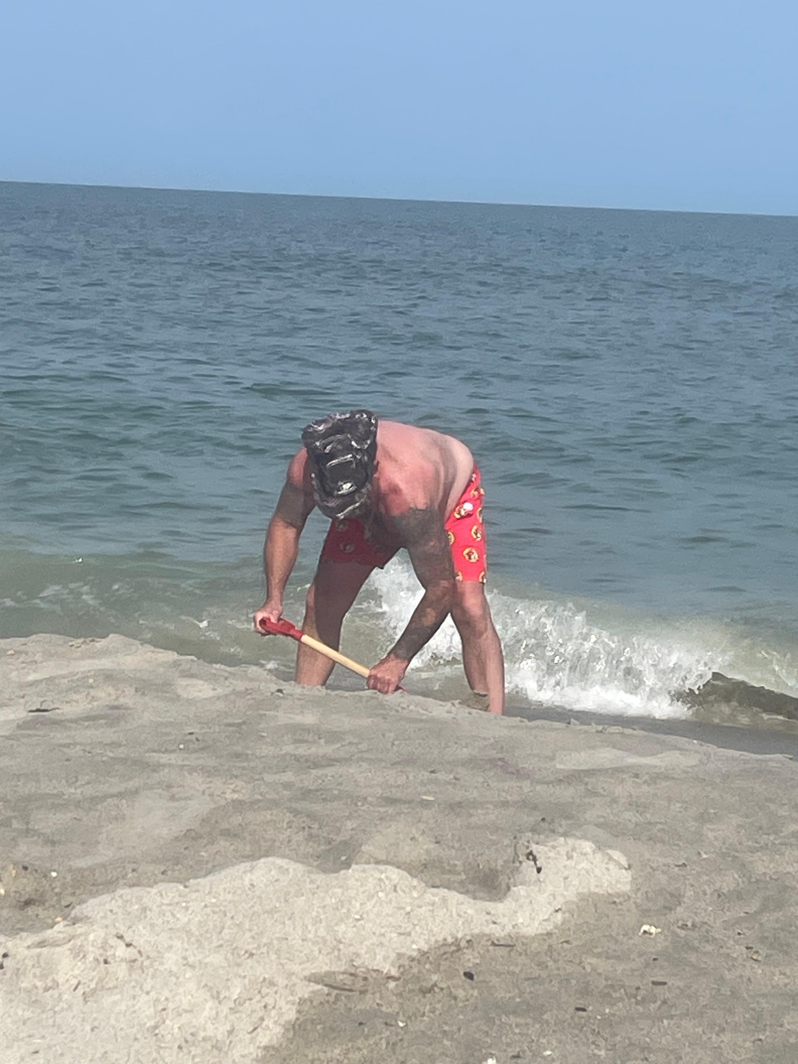 Hunting for Seashells 