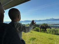 Mother moose and baby stopped by for breakfast