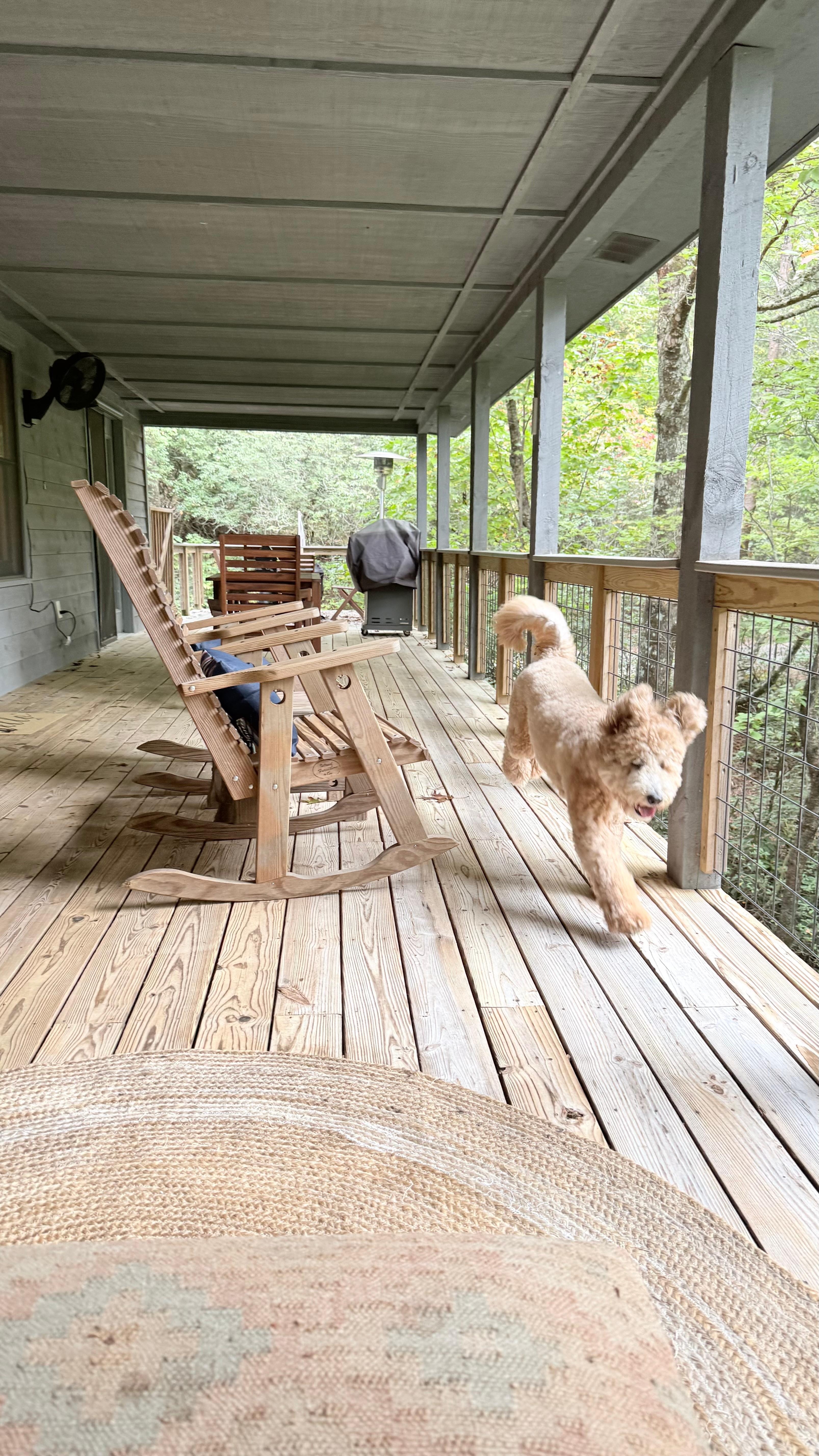 Our Buddy loved chasing the sights and sounds of the outdoors!
