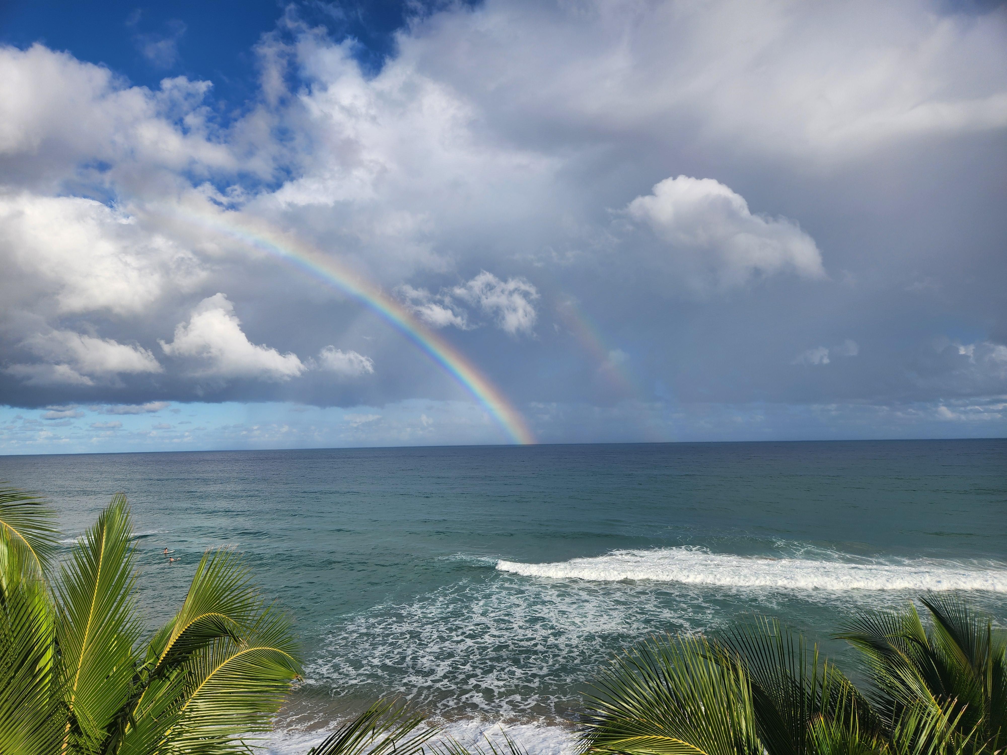 View from rooftop deck
