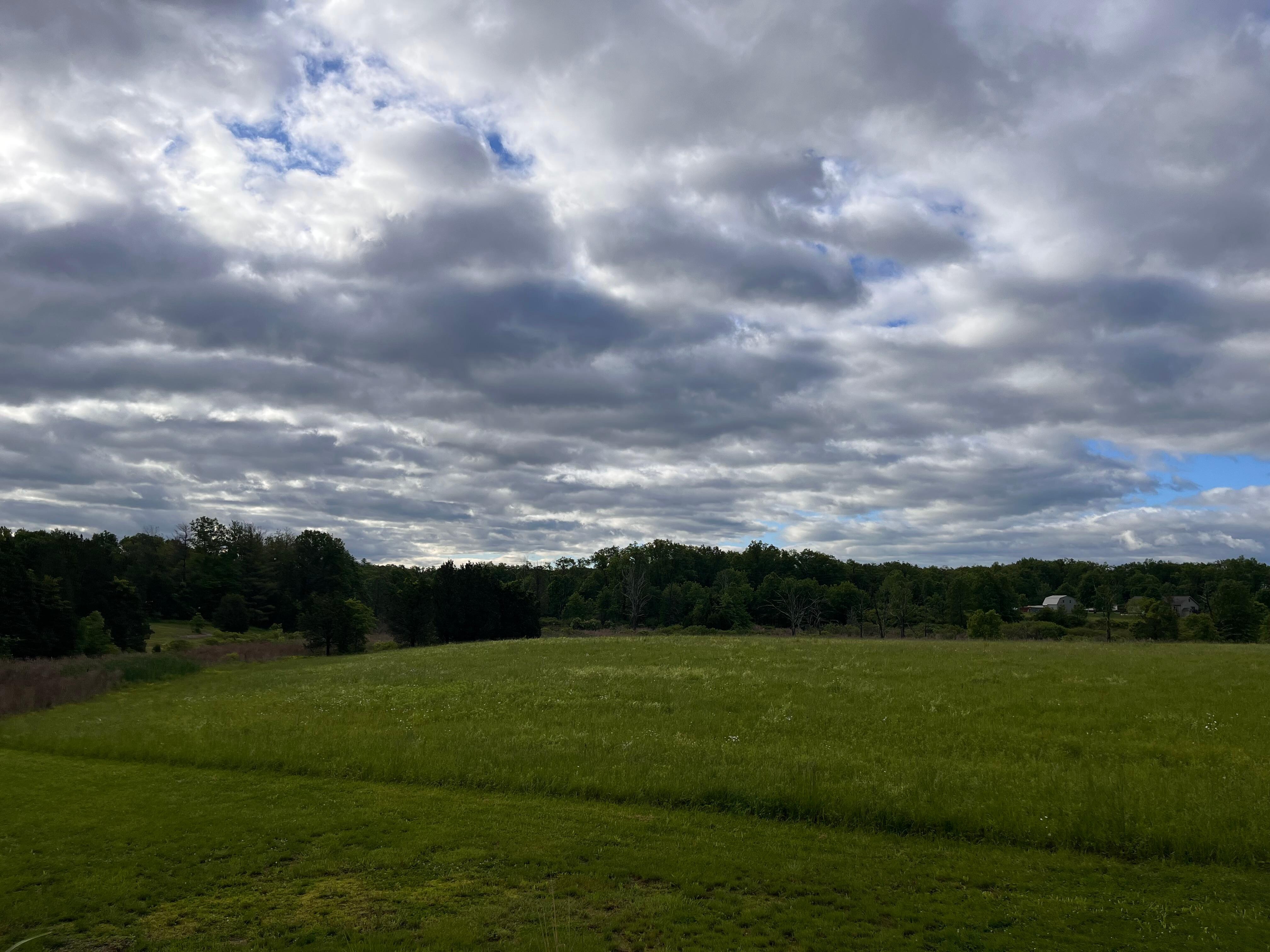 Beautiful view from back patio