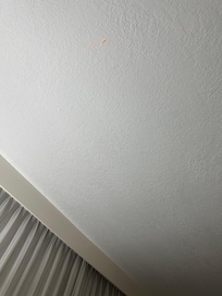 Weird orange goop on the ceiling