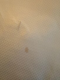 Bed spread