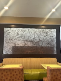 Looks like hair in this “picture” which was in the eating area🤮 Also the rug in that area looked dirty and the furniture worn. The actual room
