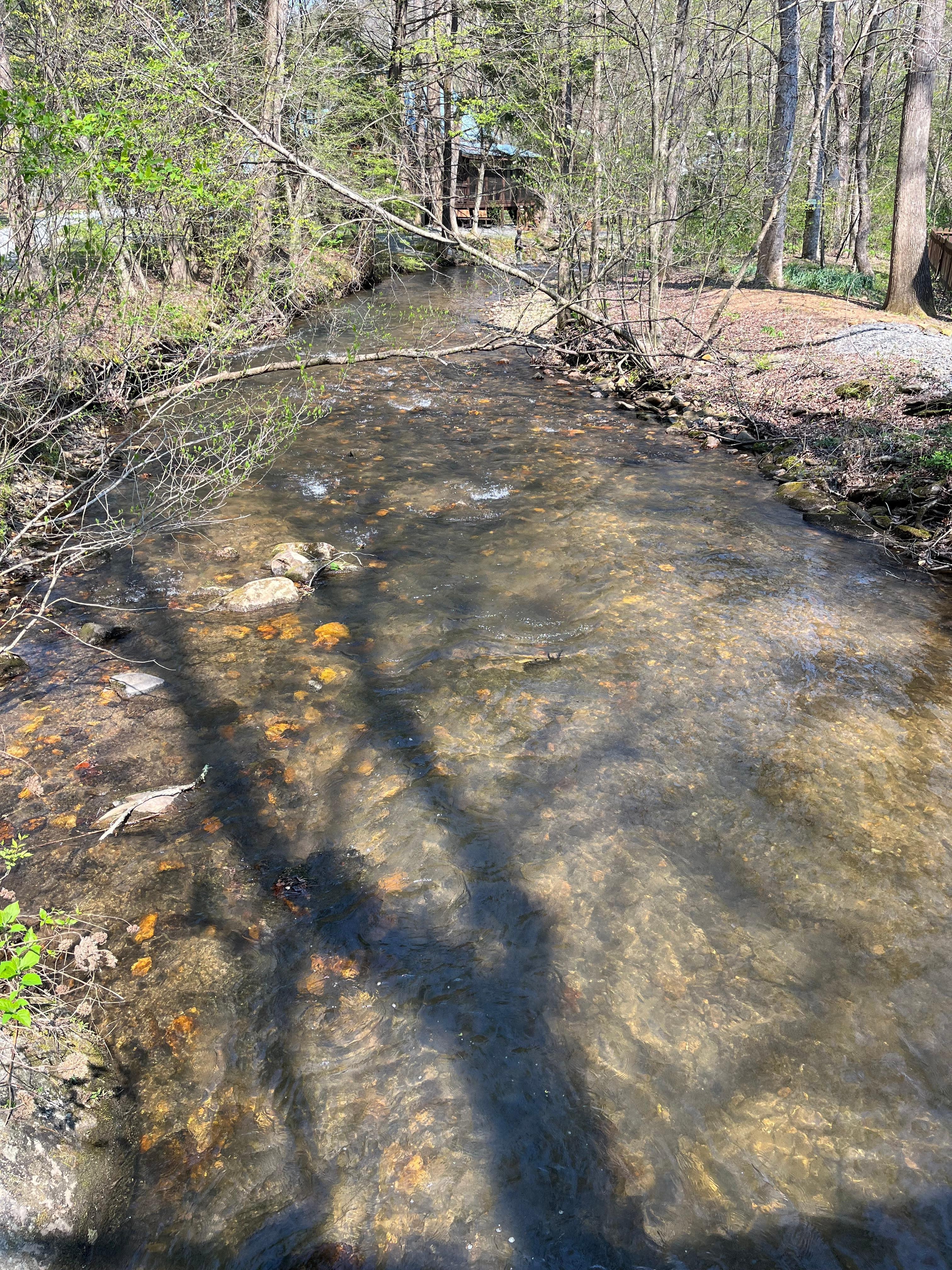 Creek next to cabin