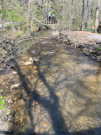Creek next to cabin