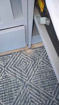 Termite dust surrounding bed