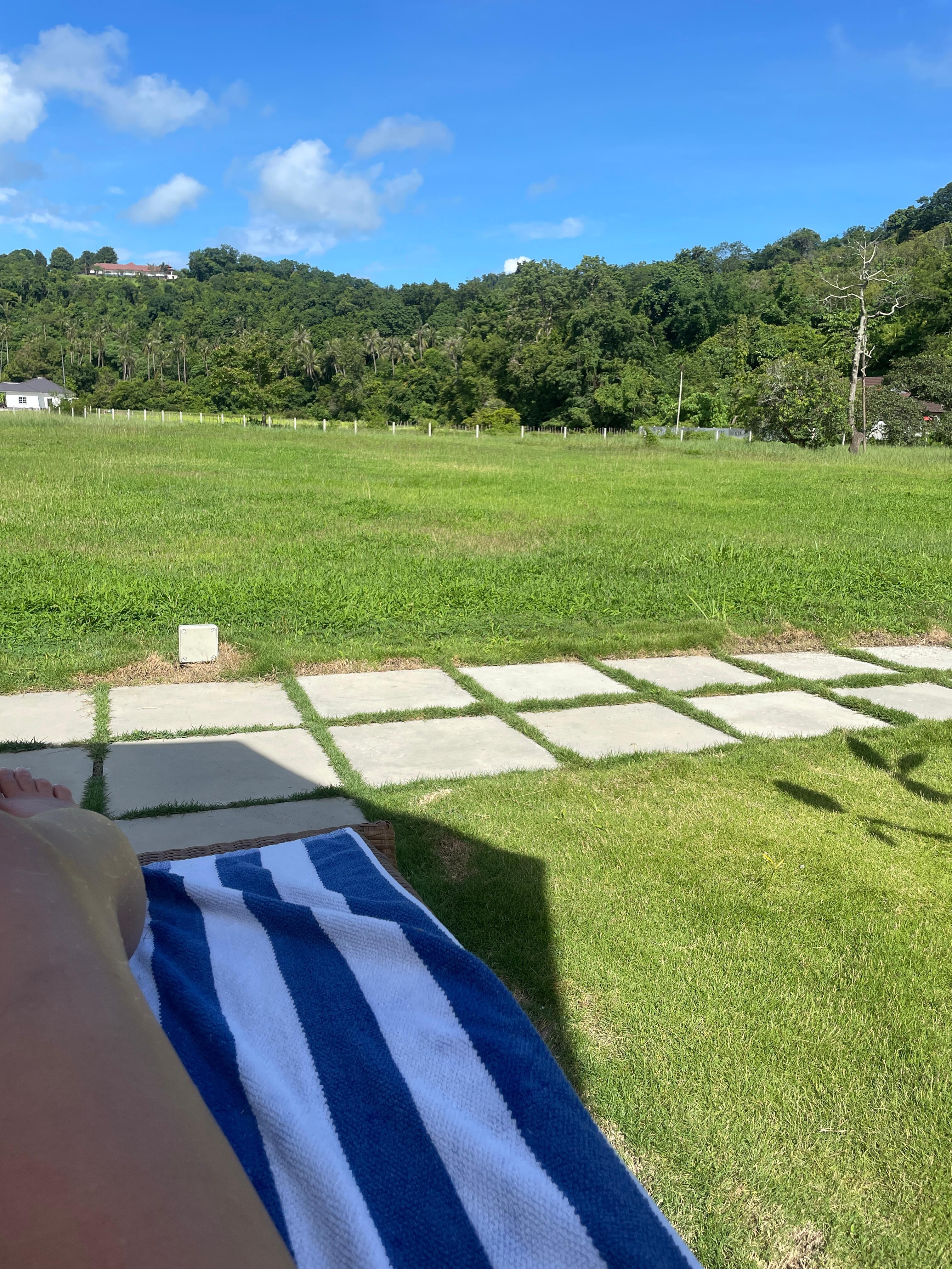At the pool, you can simply turn around and enjoy a direct view of the jungle