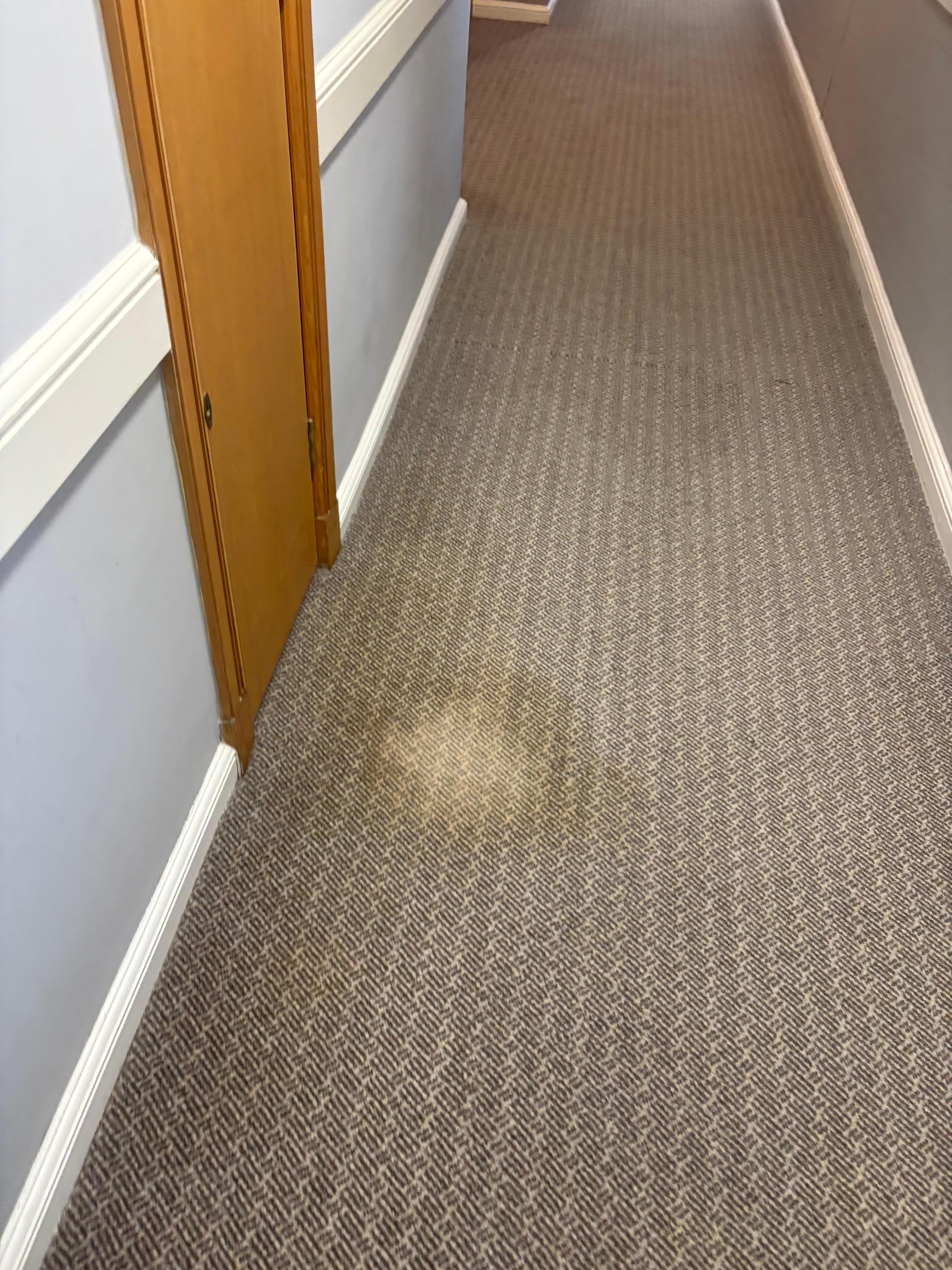 Carrot in common area