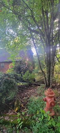 Right side