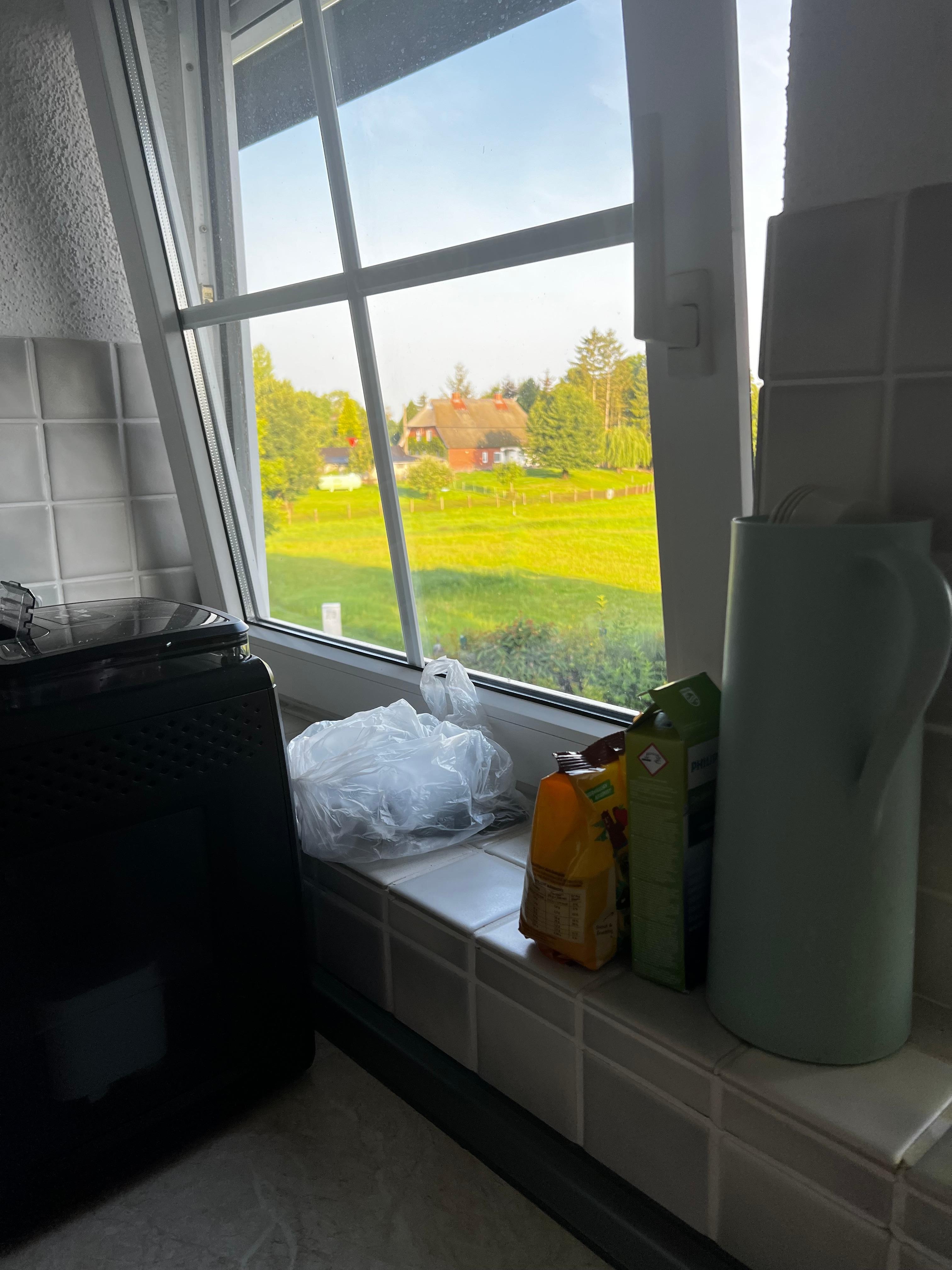 Aussicht aus dem Küchenfenster. 