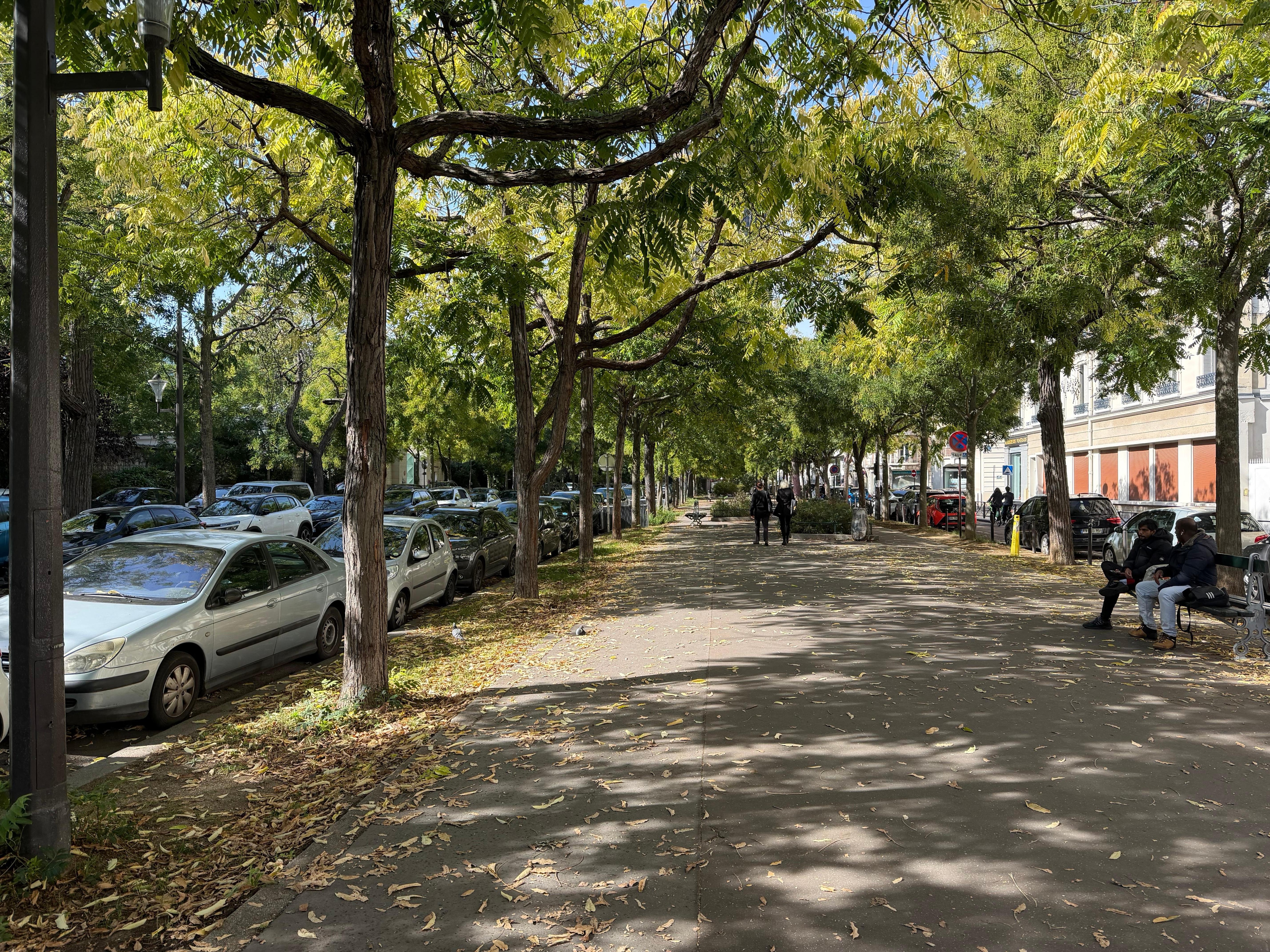The street view outside the Hotel Leopold.  Beautiful trees and off the street!