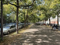 The street view outside the Hotel Leopold. Beautiful trees and off the street!