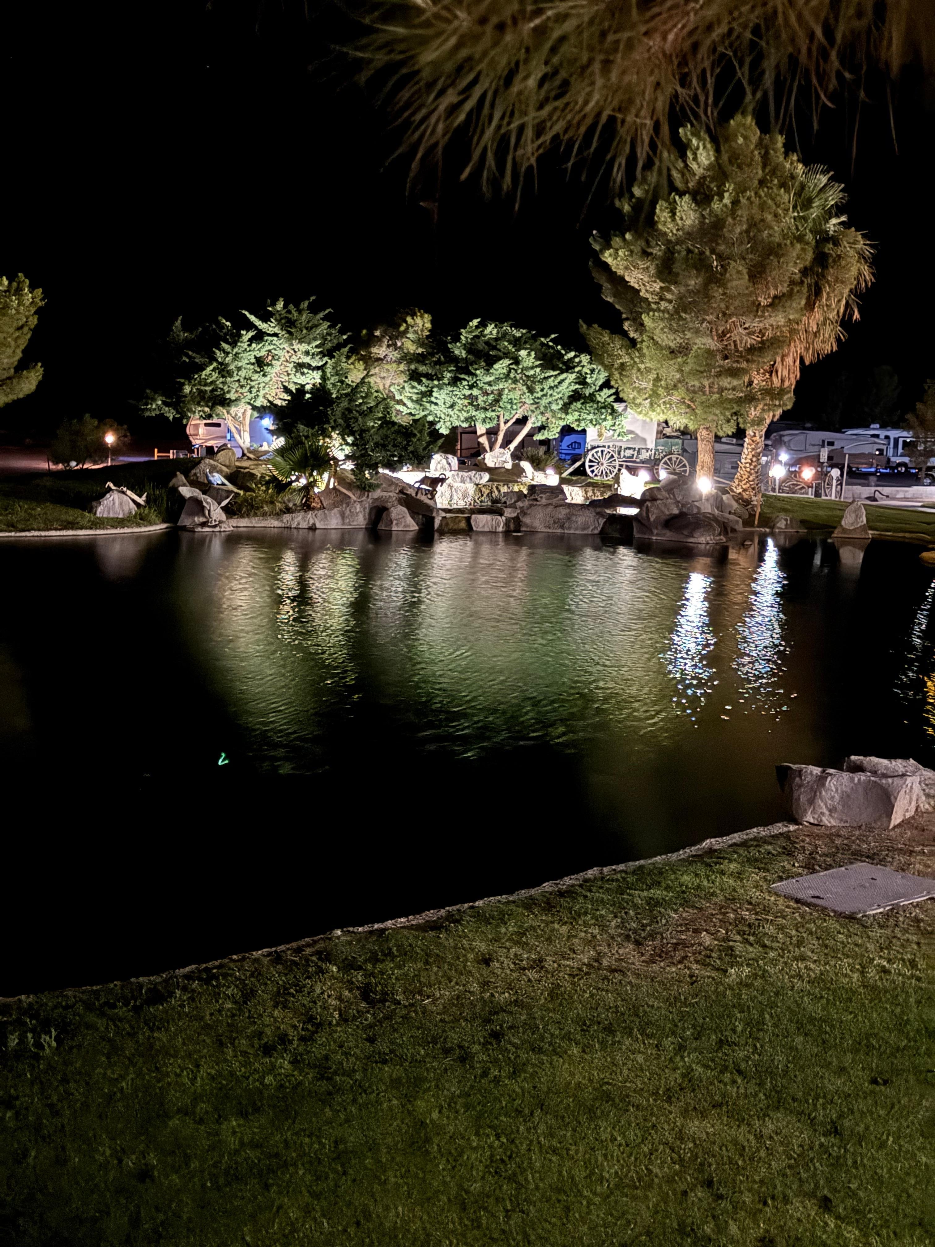 Pretty at night with the lights