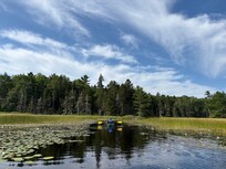 Stream to beaver dam