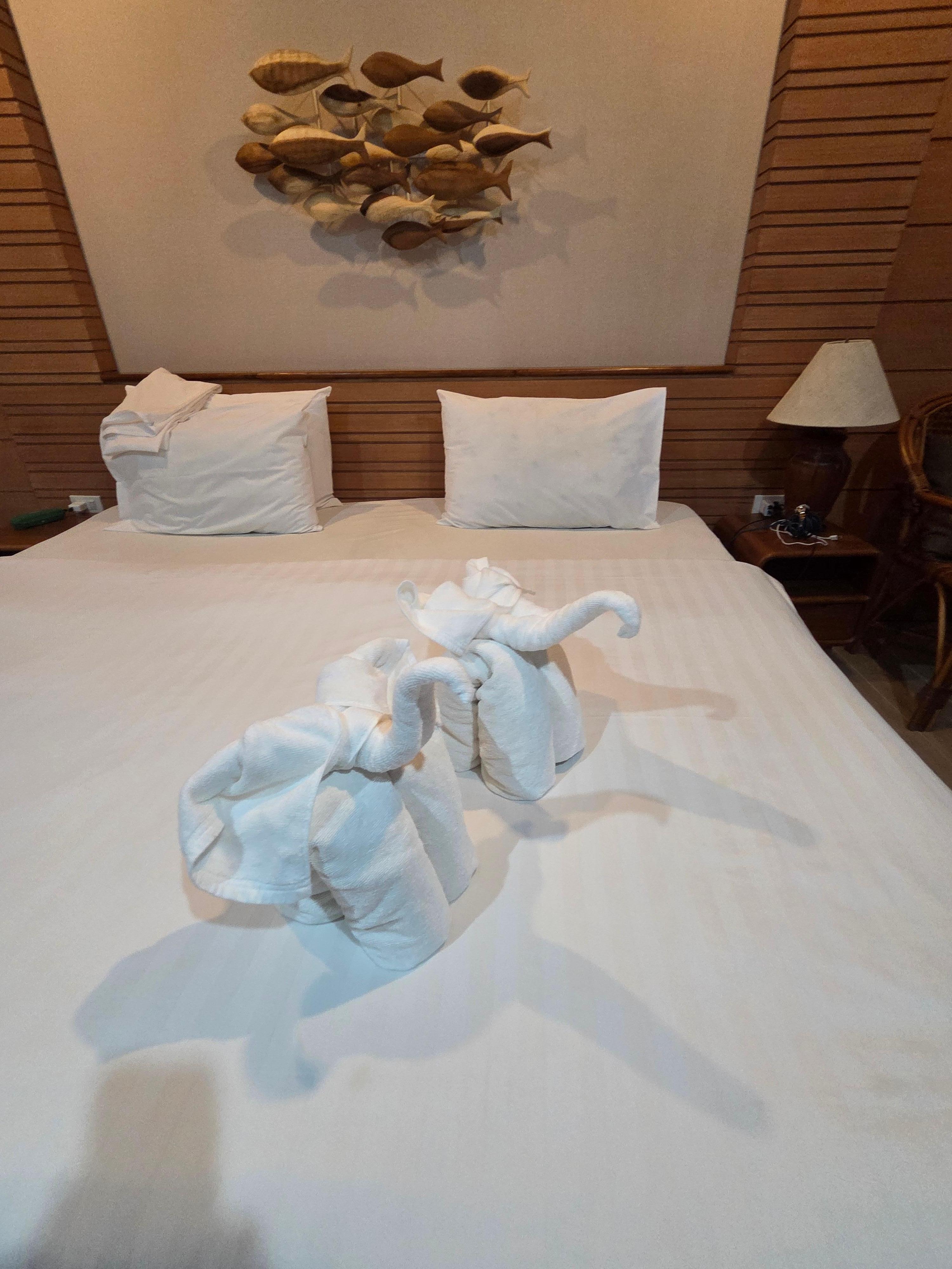 Room was cleaned and always refreshed