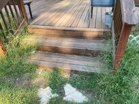 overgrown lawn and patio
