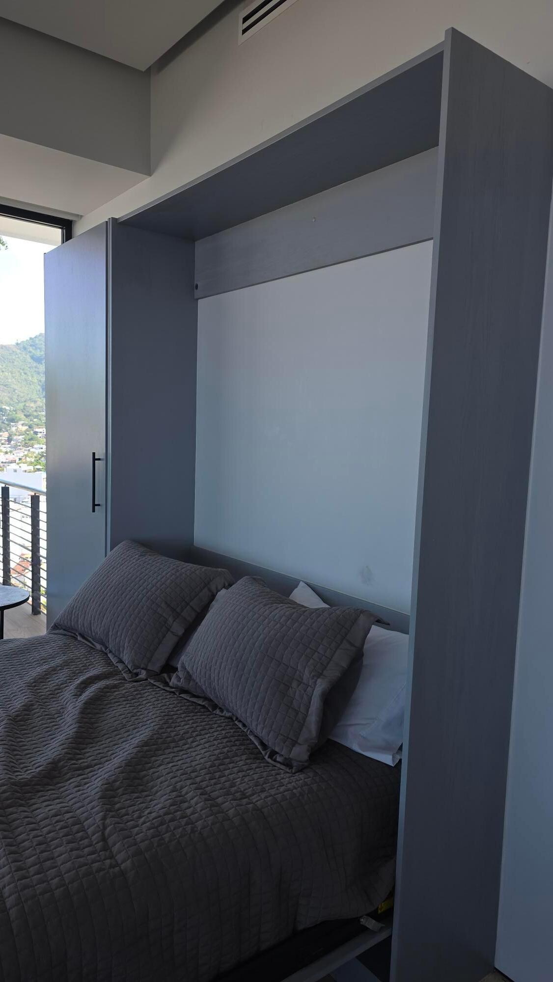 Wooden Murphy Bed with termites on top