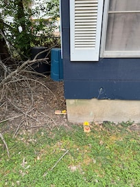 Giant rat traps that could have seriously injured our dog