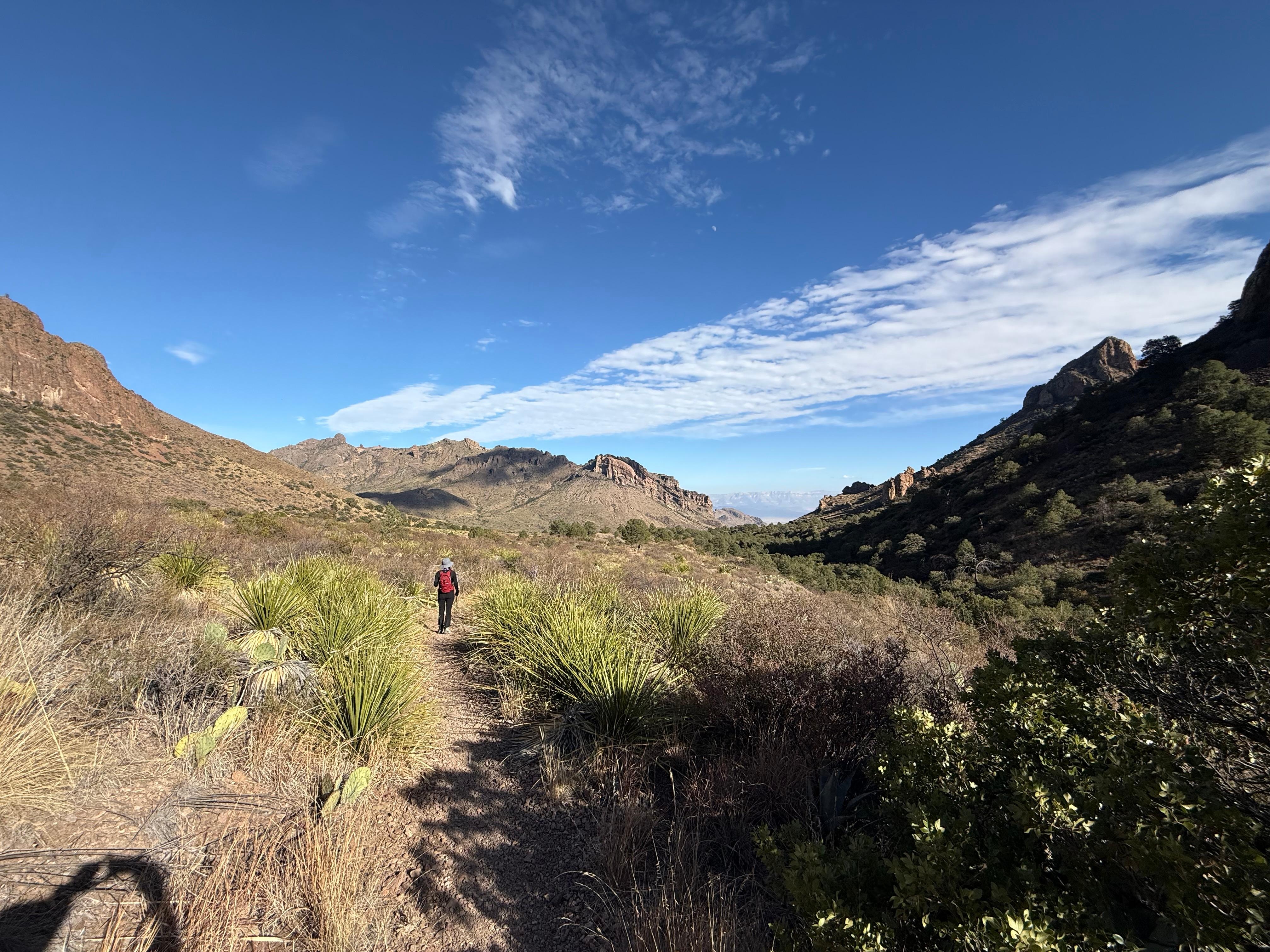 Big Bend NP hike