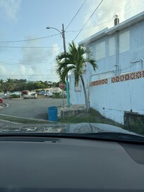 Corner between gate to apartment & gate to car.