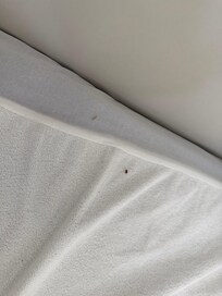 Betten vor dem Beziehen.