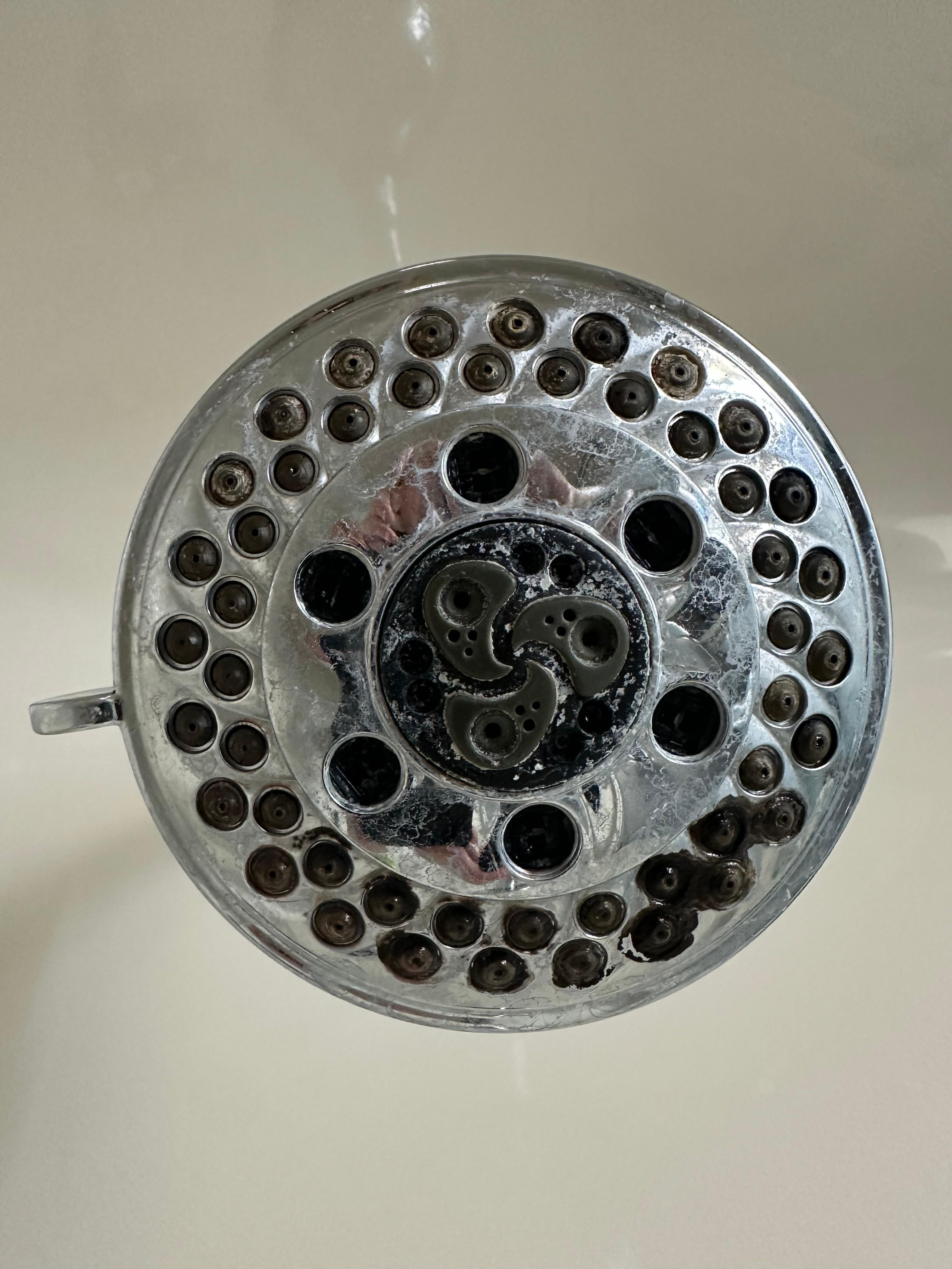 Shower head had mold growing on it