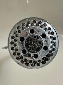 Shower head had mold growing on it