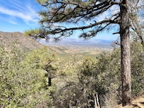 Madera Canyon