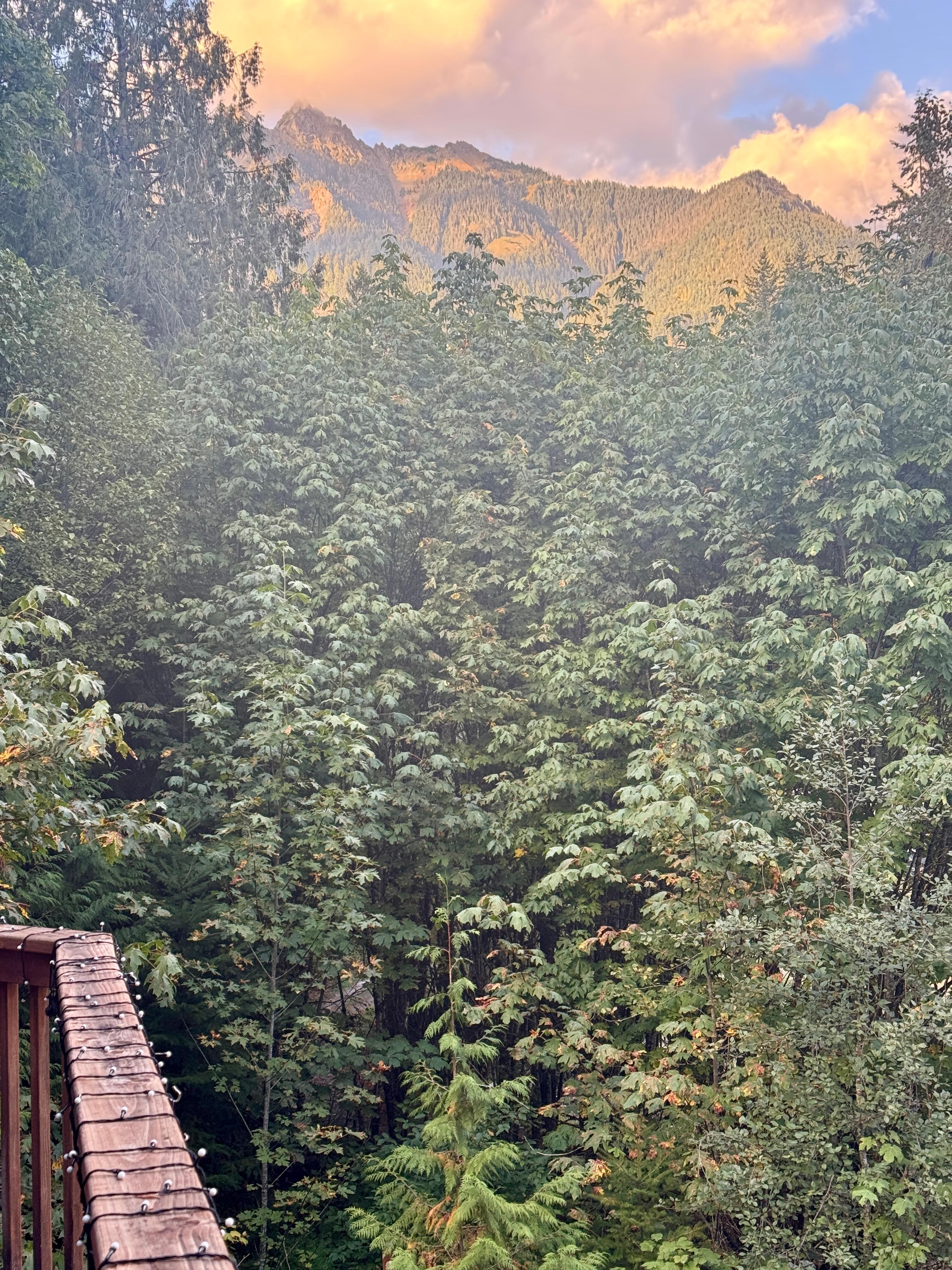 Front deck view to the left.