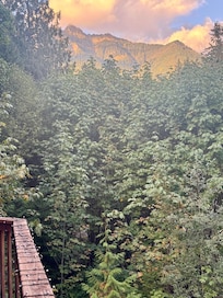 Front deck view to the left.