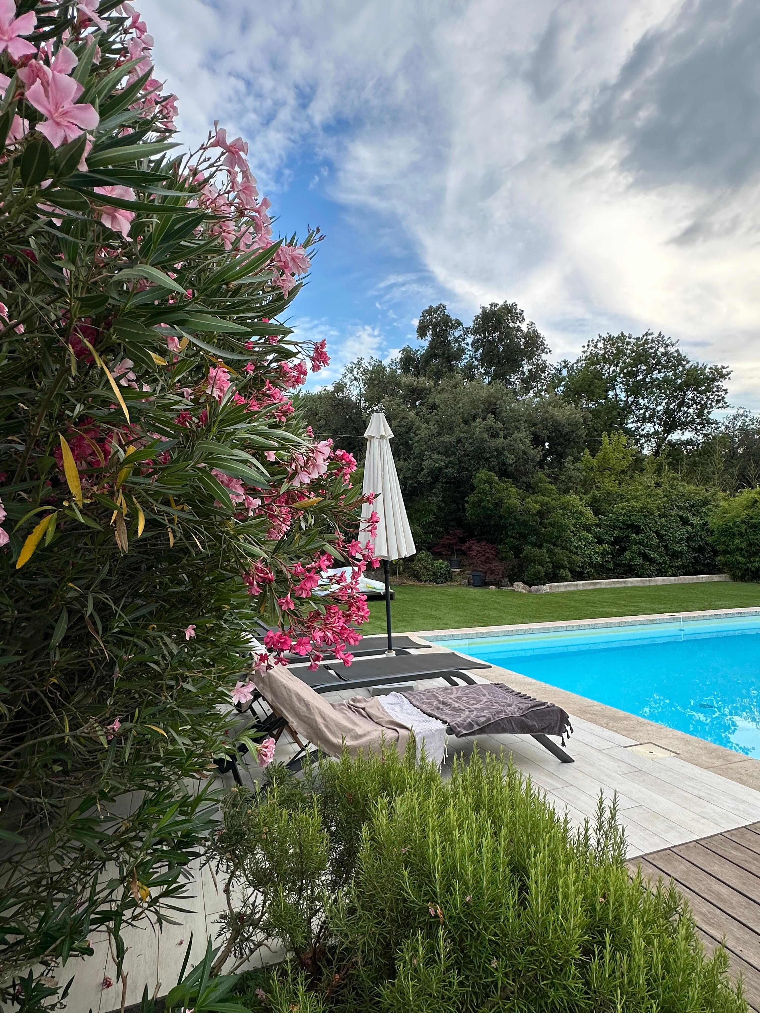 Pool-Bereich 