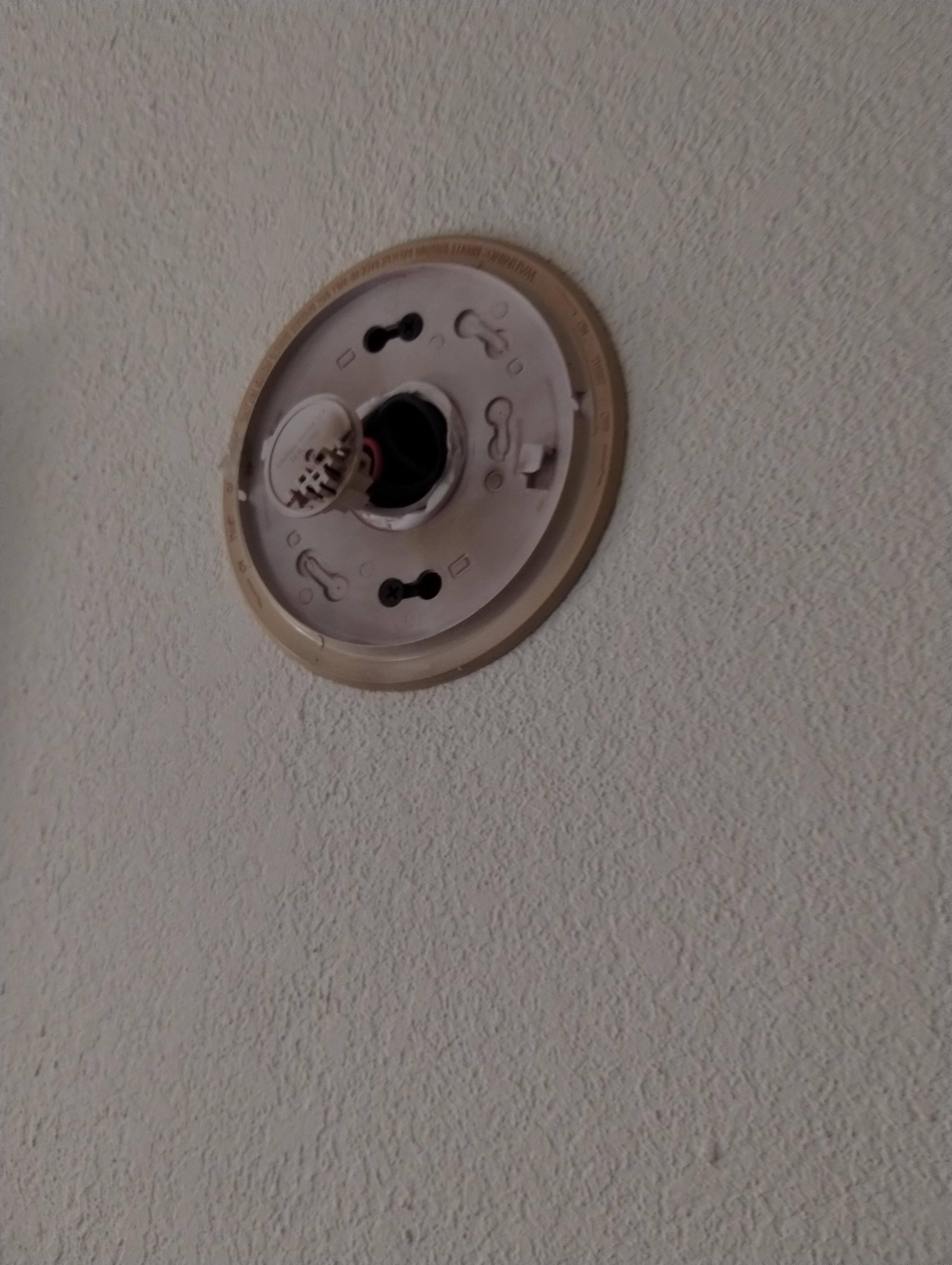 What was left of the smoke detector and fire alarm. Pretty sure this doesn't work...
