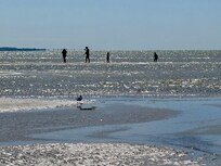 Low tide at Kingsbury Beach