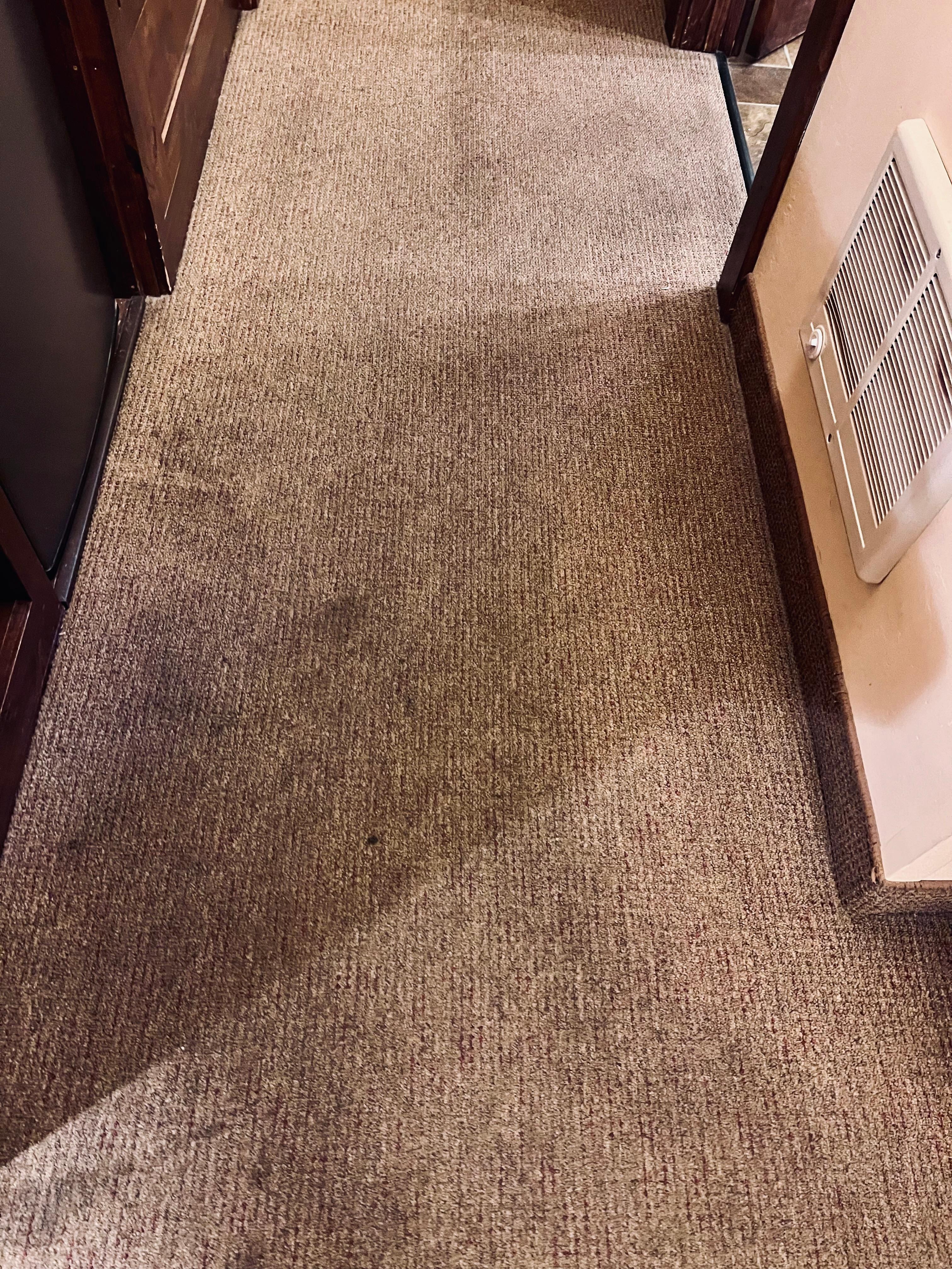 Dirty carpet